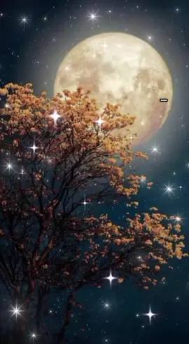 #عاصي_الحلاني #قبلتها_في_الصباح _#🌜❤️🌛 #🌟🌟🌟🌟 #ذوق #لبنان🇱🇧 #like #follow #explore 