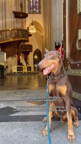 Meu Pai tá demais c os vídeos KKKK #cachorro #doberman #nero 