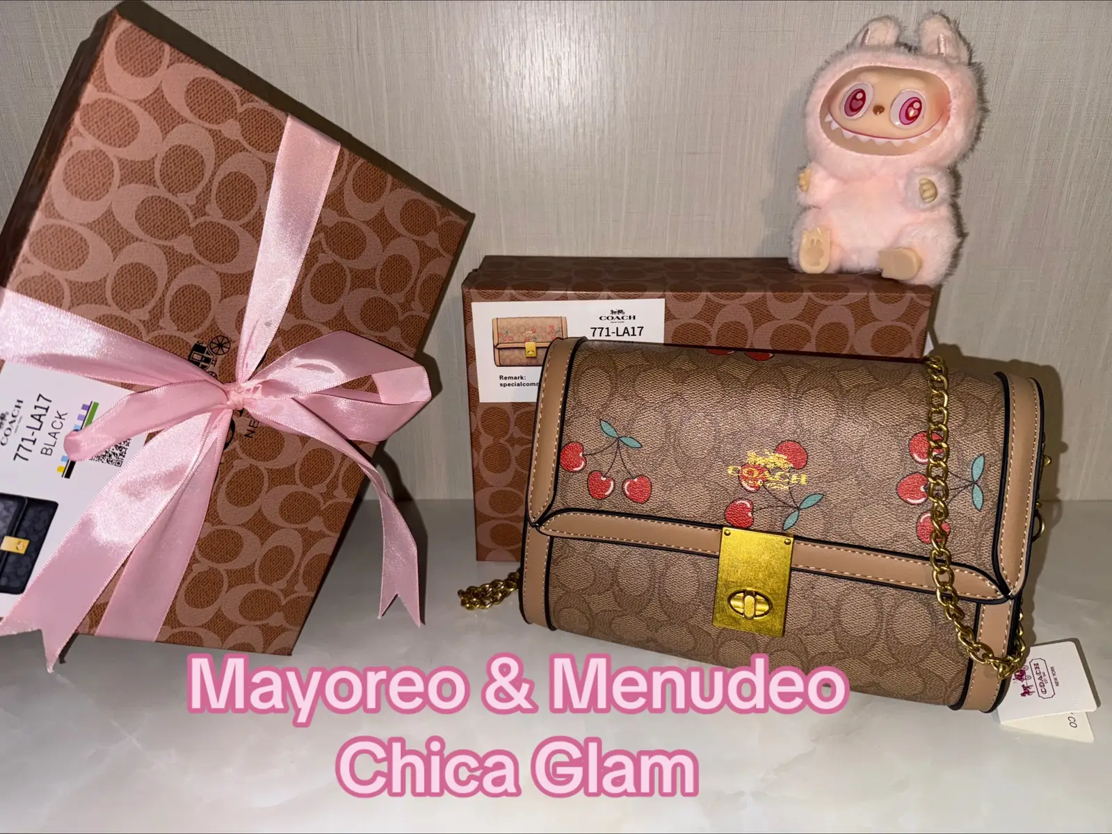 #coachpurse #coachbag #fypシ゚viral #mayoreoymendueo #shopsmallbiz #emprendimiento 