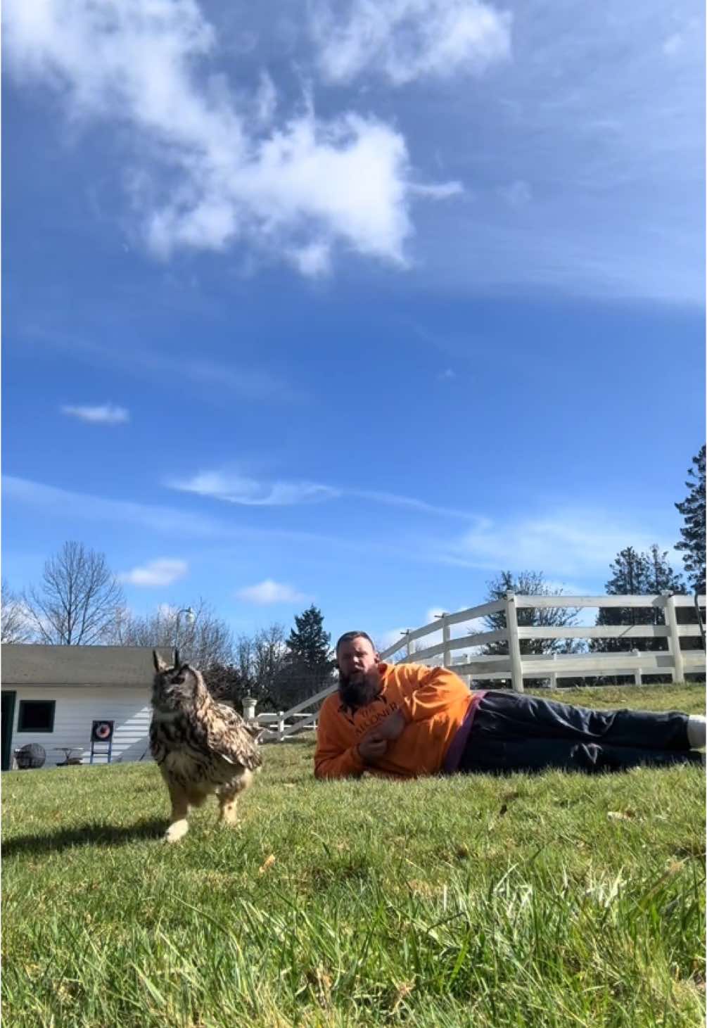 Wednesday day, with Wednesday the Eurasian Eagle owl. One of our favorite songs ❤️ #owls #owl #fyp 