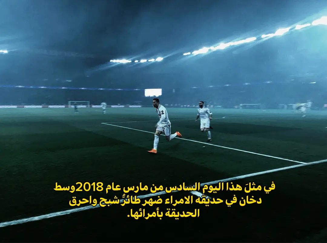 الطائر الشبح 🔥🇵🇹#foryoupage #fyp #foryou #foryoupage #football #dancewithpubgm #اللهم_صلي_على_نبينا_محمد #cristianoronaldo #cr7 #ronaldo 