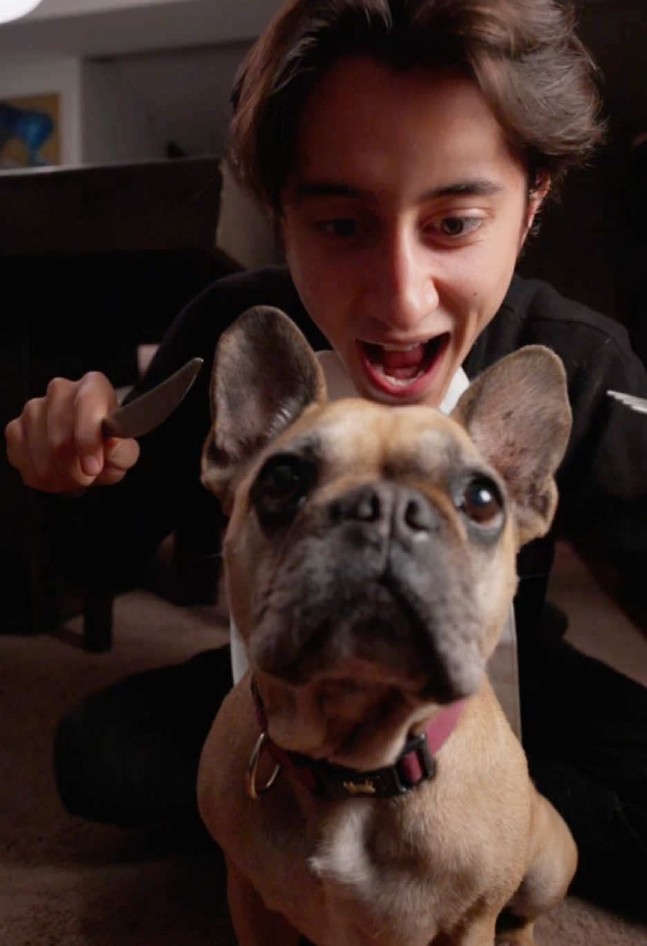 Te comerías a tu perro? #julianealborna
