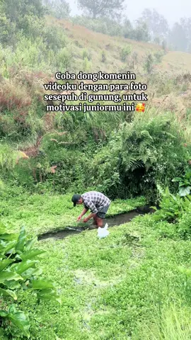 Mohon bimbingannya puh 