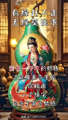 有缘赶不走 无缘莫强求   🙏🌹🙏
