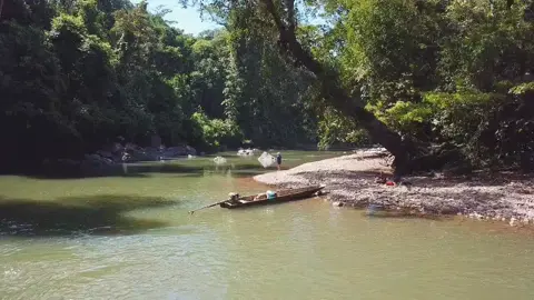 Sungai tap akah baram. Bagi para caster caster yang kaki tracking. bolehlah kesini.  #camping #wildfishing #longboat #junglelife #kakipancing 