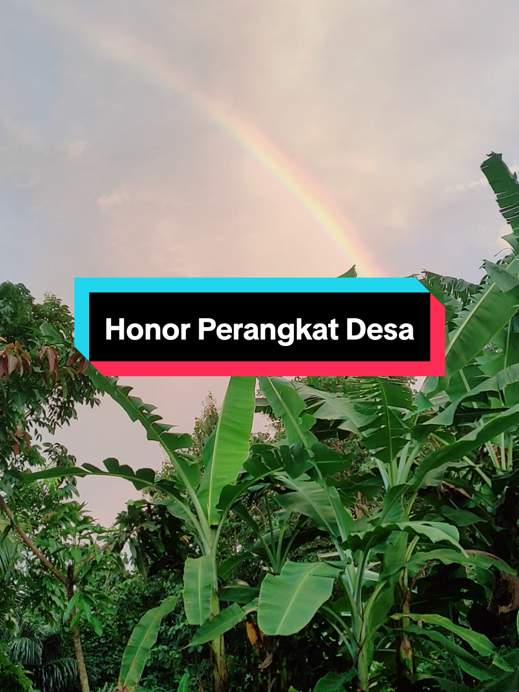 Membalas @adyoga99 Honor atau Horor ini Kak 🤭 #honorperangkatdesa #honorkepaladesa #honorppkd #tunjanganperangkatdesa #penghasilanperangkatdesa 