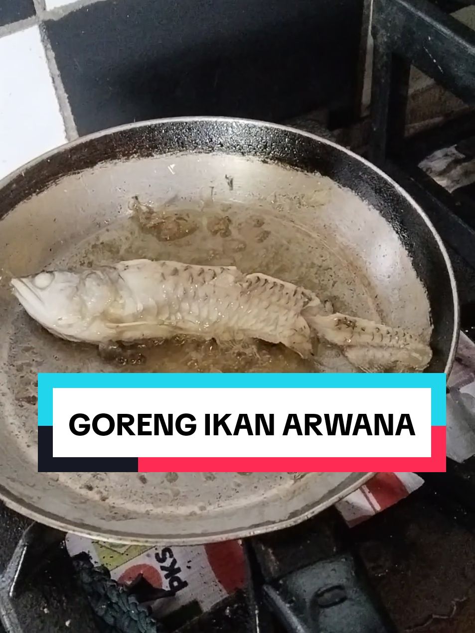 anak minta di gorengkan ikan di aquarium😰😢 #ikanarwana 