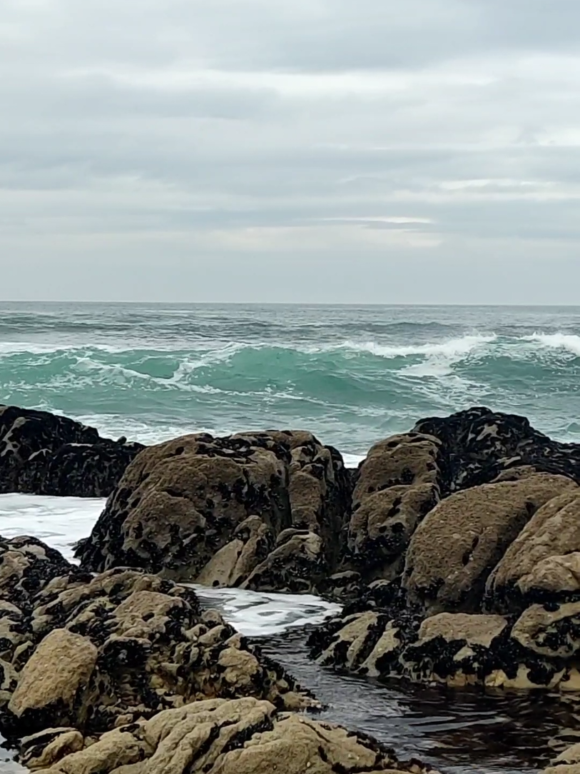 #beautifulbeachview #wonderfulworld #ocean #wavesbeach #searelax🌊 