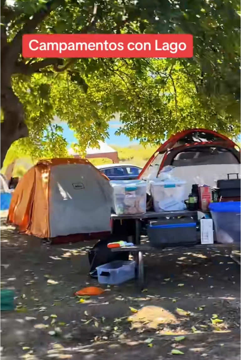 Lake Casitas Recreation Area. 📍 11311 Santa Ana Rd, Ventura, CA 93001.   Camping.  #viajando_ala_naturaleza, #lakecasitas  #lakecasitasrecreationarea #ventura #venturacounty #venturacalifornia #placetovisit #fypシ #fyp #virallIllll #paratiiiiiiiiiiiiii #camping #campingideas #campingtents #campinglovers #campground #campinglife #campamento 