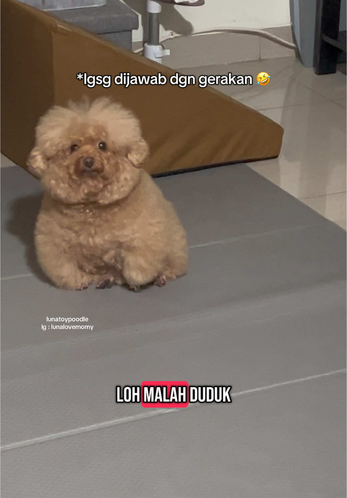 bucyin nya pawpi