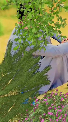 #CapCut paryou wale Waza 