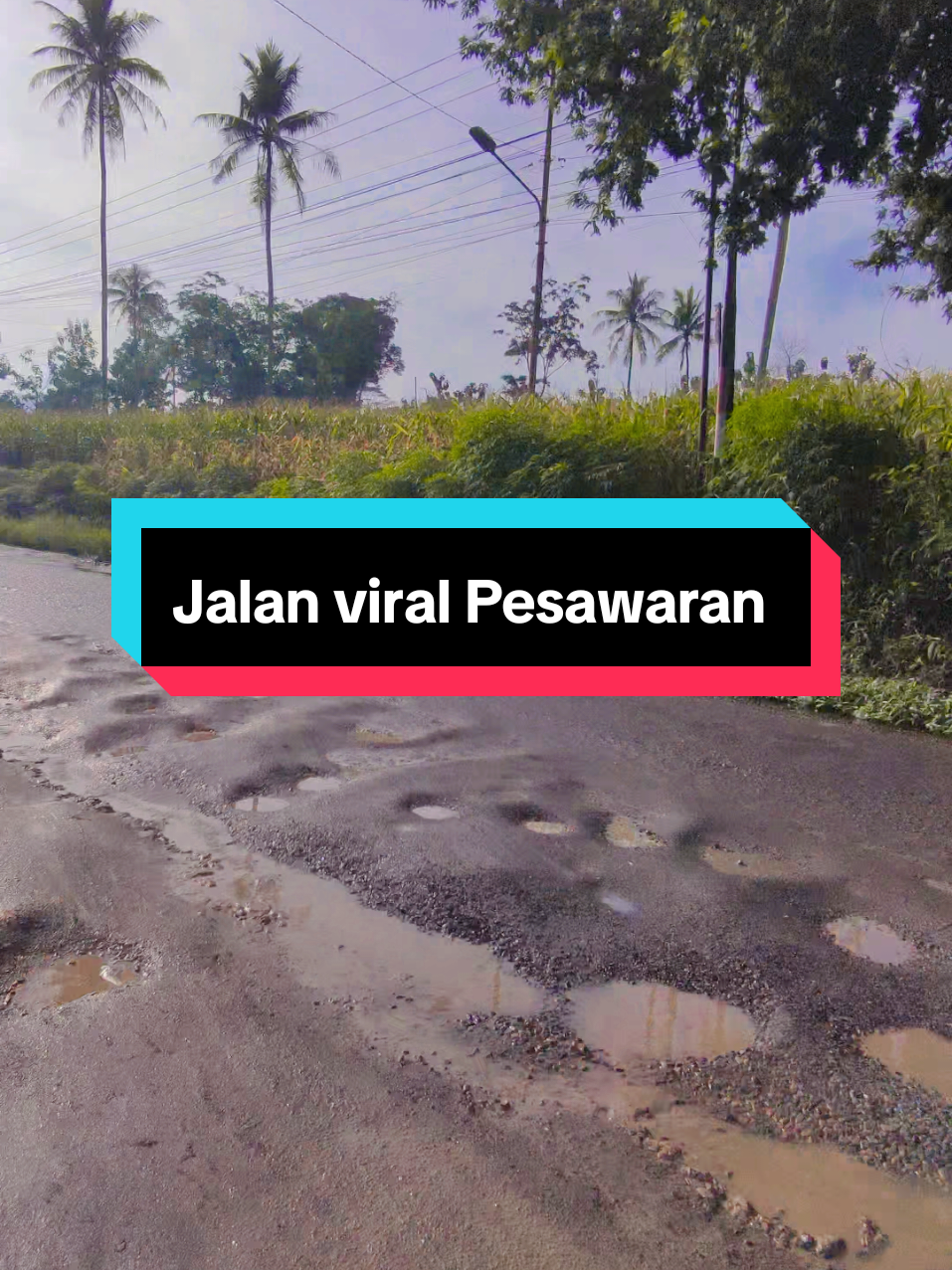 masih gak nyangka kalo jalan provinsi ini gak masuk di prioritas 100 harinya pak gubernur 😑😑😑 📍Jalan raya kedondong, Pesawaran Lampung  #kontenkreatorlampung #lampung #lampungcity #lampung #beritalampung #infolampung #pesawaran #bandarlampung 