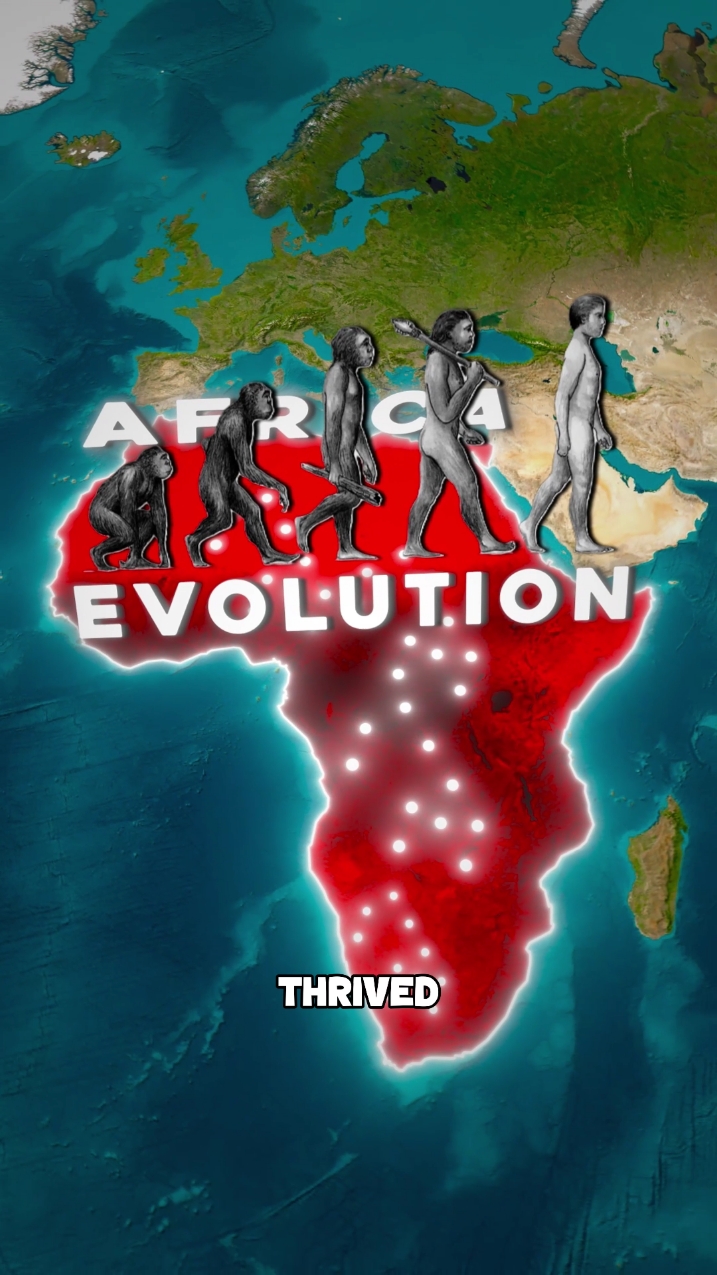 This is the Human Evolution🤯🌎 From the firsts humans on Africa to 8 billion people now, here's how the human changed during the years🌎⏳ #maps #history #evolution #migration #geography #LearnOnTikTok 