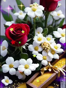 #concariño #buenosdías #porlamañana #felizdia #paratodos♥️ #goodmorning #bendiciones🌹❤️🙌🏻🙌🏻🙏 #buenosdías #concariño❤️ #😘😘😘 