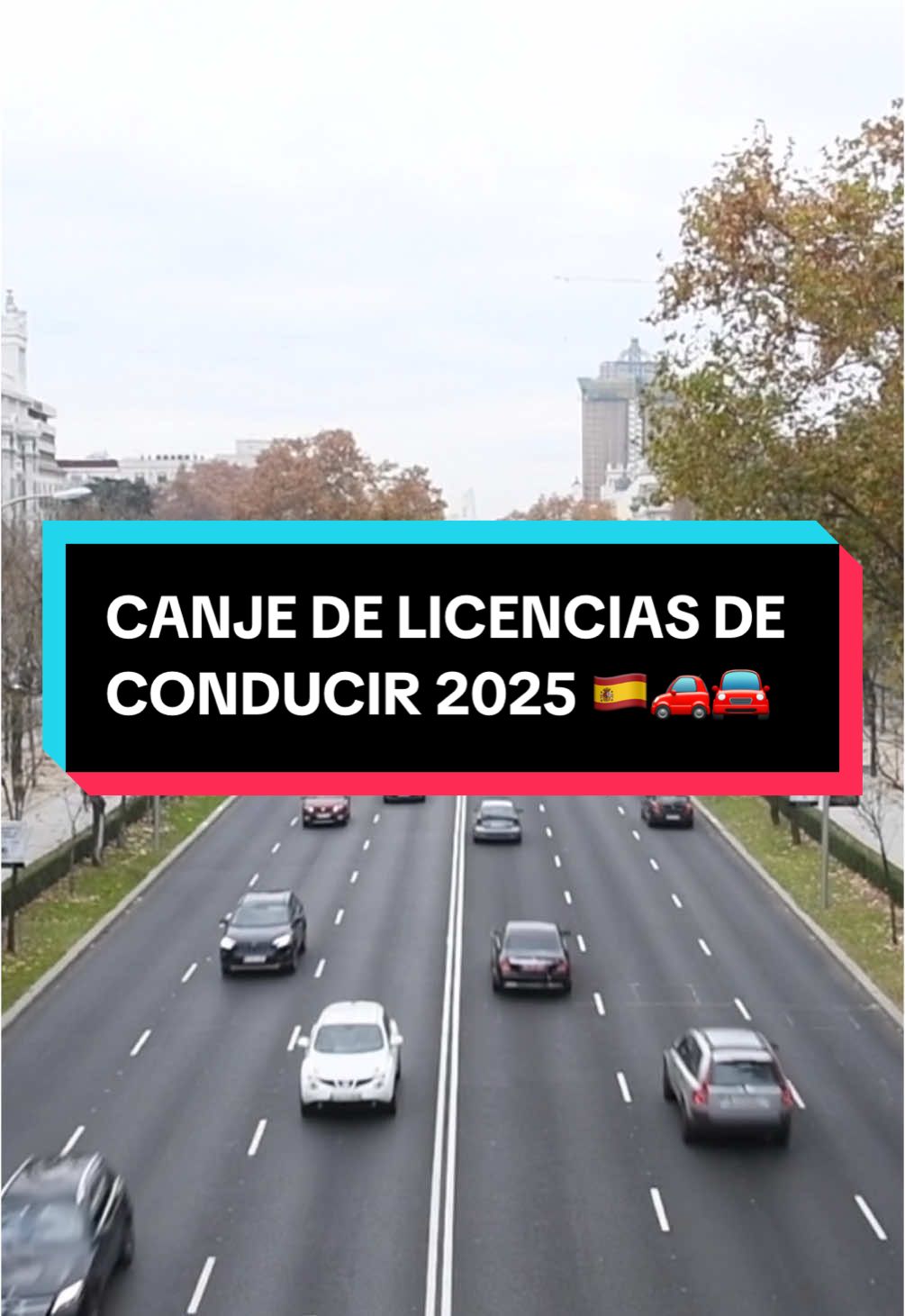 Para comprobar todos los países con Convenio de canje que tiene España puedes verlo en la página web oficial de la DGT o en su caso en este perfil en nuestro vídeo anterior sobre el Convenio de canje. #permisosdeconducir #canje #canjes #conductor #conductores #conduccion #coche #carro #carnet #carnetdeconducir🚘💨 #licenciadeconducir #españa #dgt #extranjero #extranjeros 