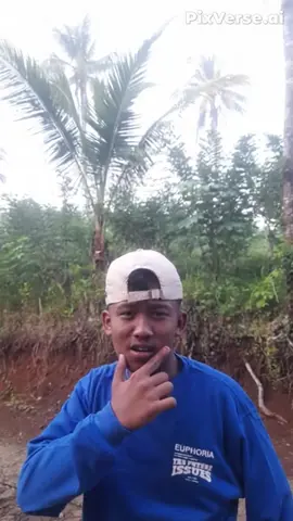 mboh ws