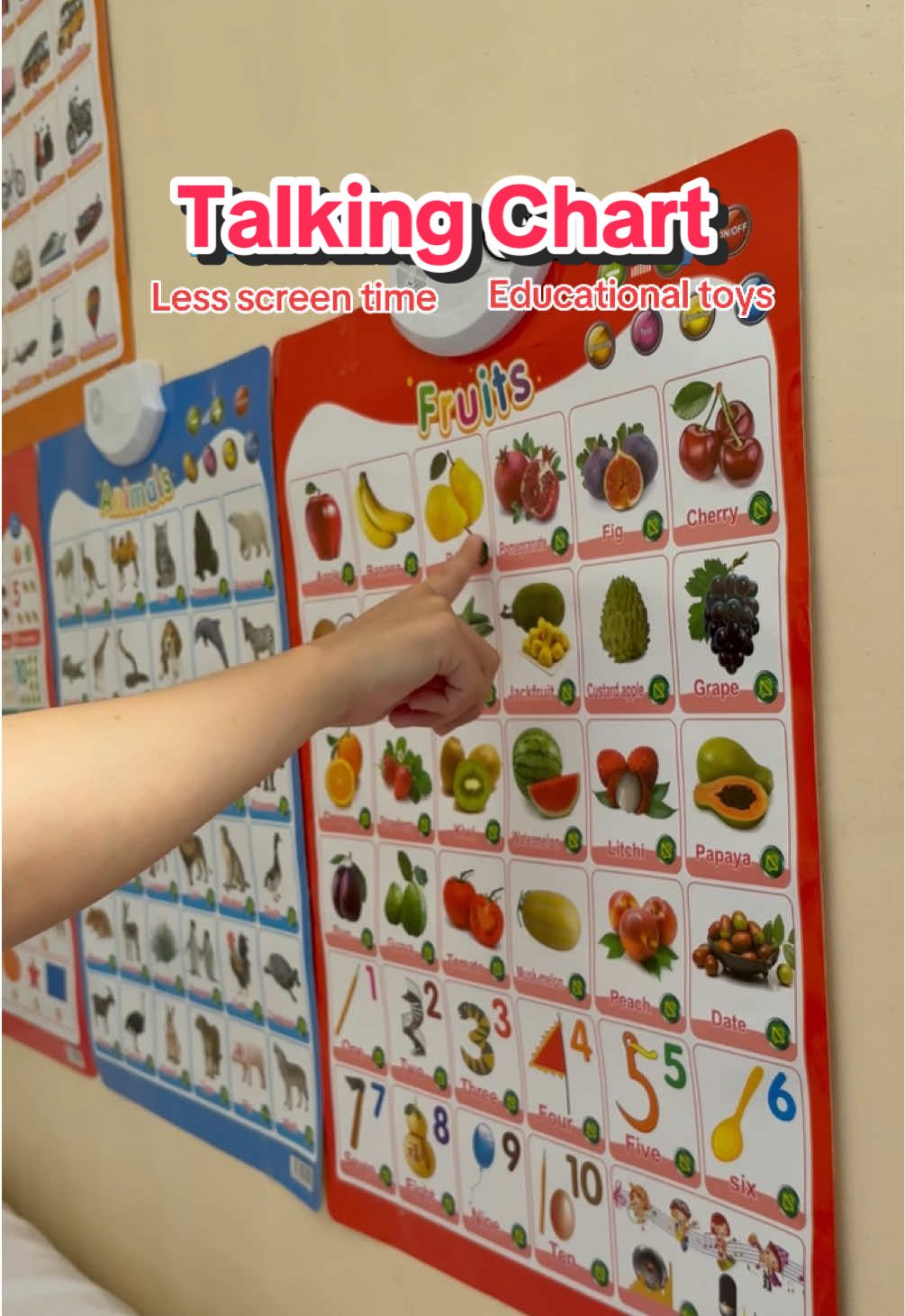 Uy, tignan nyo tong nakita ko. High-tech na talaga kahit chart. Matutuwa ang mga bagets dito. Natututo na sila, nag-eenjoy pa sila! #chart #talkingchart #educational #toys #educationaltoys #babymilestone #baby #toddler #infant #alphabet #numbers #fruits #vehicles #vegetables #animals #babylearning #fyp 