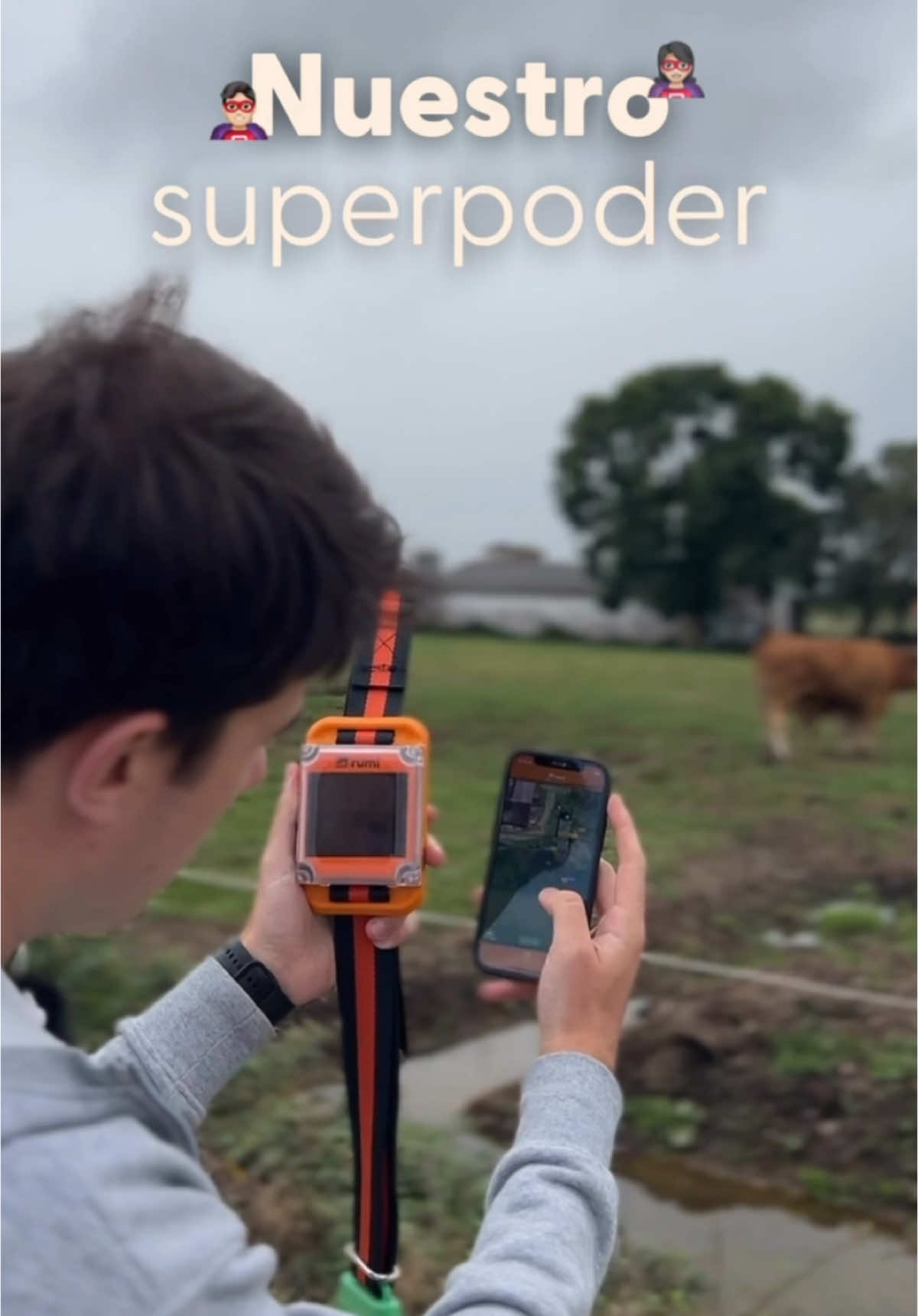 🦸🏻‍♂️Hemos venido a REVOLUCIONAR la ganadería con tecnología avanzada.  🧡 ¡Síguenos para más contenido sobre ganadería innovadora! #ganadería #ganaderos #campo #innovación #rumiapp #galiciaprofunda #españavaciada #vacas #terneros #gpstracker #lorawan 