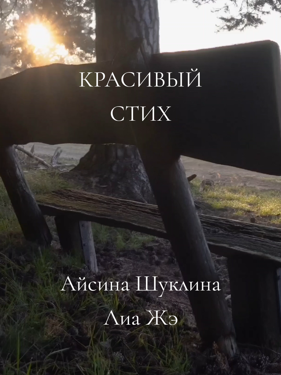 Стих Айсина Шуклина Читает Лиа Жэ В какой-нибудь вторник, проснувшись не рано, Ты сядешь на край раскладного дивана. И мысли твои пронесутся спонтанно: Мне так уже много, но так ещё рано. И в этот момент посреди пустоты Ты вдруг осознаешь, что мир - это ты. Все мысли твои, дела и мечты - В конечном итоге всё это ТЫ. И всё, к чему ты сегодня пришёл, Ты выбрал, решив, что так хорошо. И значит пусть маленький или большой, Путь твой проделан твоею душой. Поэтому если в душе непокой, Неважно день - вторник или другой, Неважно диван или мир под тобой, Будь в первую очередь честен с собой. #АйсинаШуклина #ЛиаЖэ #вкакойнибудьвторникпроснувшисьнерано #рассвет #закат #авторскийстих #красивыйстих #поезия #природа #красота #красивыйвид #красивыеслова #жизнь #люди #стихия #stih_i_ja #монтаж 