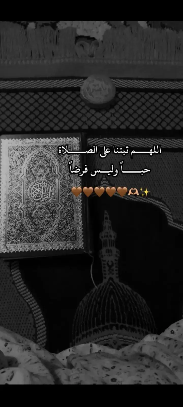 #الهم_صلي_على_محمد_وأل_محمد💖🥀🌼 #موكب_تعجيل_الفرج_الحسيني_عج #ياشهيدالله_شما_بجيت_ماضن_بدمك_وفيت #ناصريه_كوت_حله_سماوه_اربيل_دهوك_احبكم #مصميم_فيديوهات🎶🎤🎬 #موسىالكاظم 