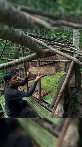 Building a shelter on a fallen tree - Part 2 #bushcraft #build #camp #camping #survival #shelter #Outdoors #outdoor #viralvideo #fyp #construction #wildlife