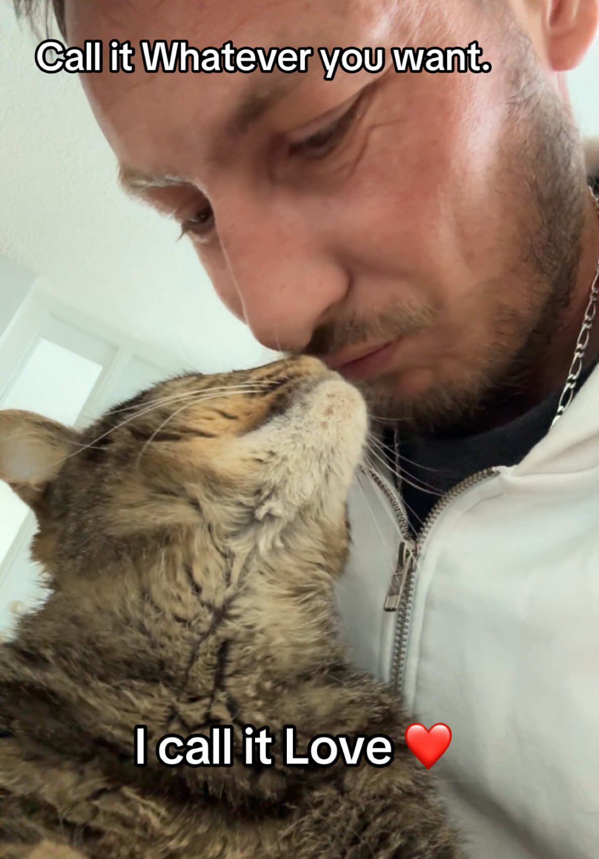 I call it Love ❤️ 🐈  #catsoftiktok #Love #catlovers #friendship #tabbycat #affection #cat 