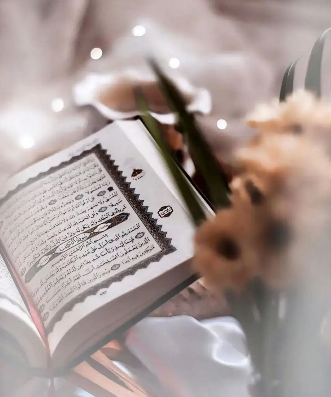 🍃كتابُ اللهِ عالمٌ تُحَلِّقُ في سمائِهِ الأَرْواحُ... فهو الملاذُ لكُلِّ العُقولِ والقُلوبِ التي بِعشقِها تَلِجُ ساحةَ القُدسِ الإلهية... وهو المربي الأولُ لجميعِ الأُمَمِ بمختلفِ لُغاتِها، وأجناسِها، وأعراقِها..  ففي القرآنِ تَتَجلَّى روعةُ الخِطابِ الرباني، والإعجازِ، والبيان.. فَحَلِّقْ بِرُوحِكَ وَاسْتَنطِقْ آيَ الذِّكرِ الحَكِيمِ... قال تعالى: (أَفَلَا يَتَدَبَّرُونَ الْقُرْآنَ أَمْ عَلَىٰ قُلُوبٍ أَقْفَالُهَا)..🍃