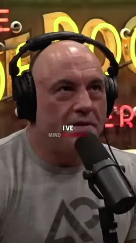 Joe Rogan’s Secrets to Mastering a Bee Colony  #fyp #foryoupage❤️ #foryoupage❤️❤️ #viralvideos #viral_video #joeroganclips #joerogan #bee #bees 