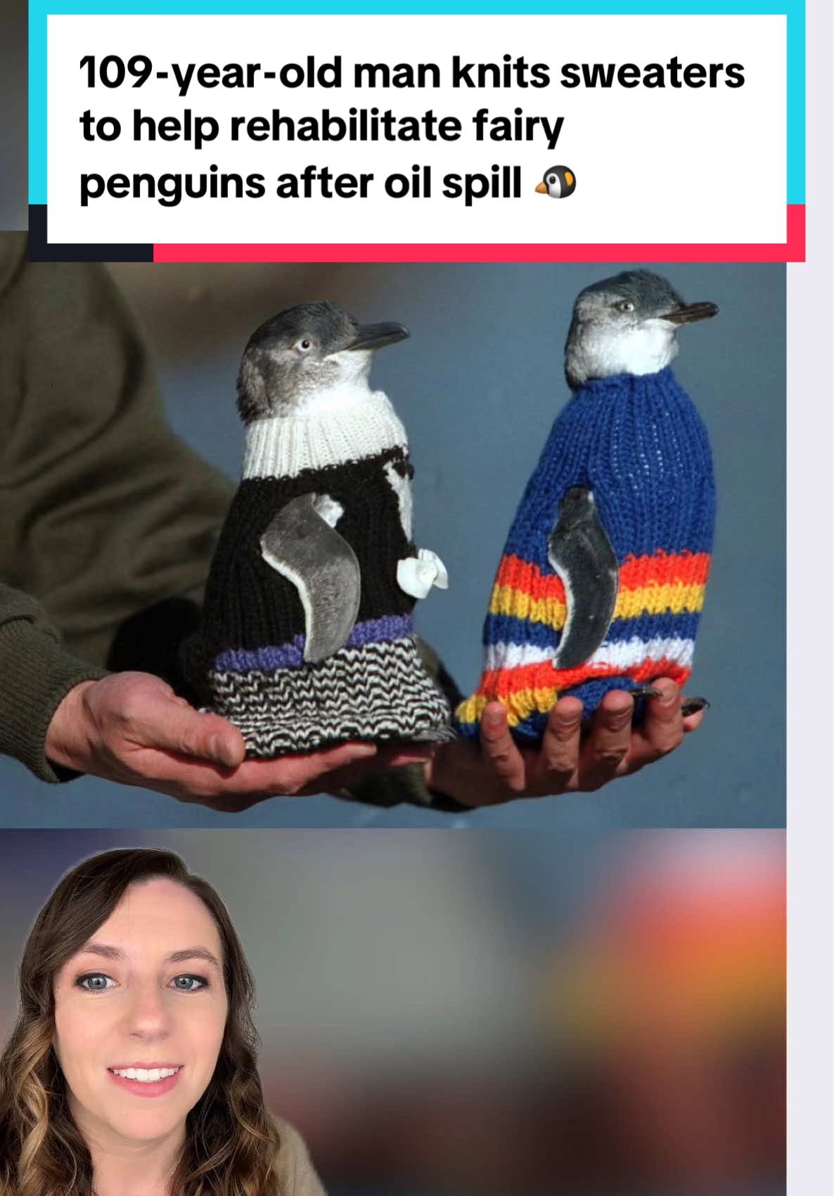 It's never too late to find a new purpose. 🐧 At 109 years old, Australia's oldest man Alfie Date began knitting tiny sweaters for oil-covered penguins. 🧶 When the penguins had enough sweaters, he switched to making hats for premature babies, continuing his mission of warmth and care until he passed at 110. 💜 📸 Phillip Island Penguin Foundation #wildlife #conservation #penguins #knitting #penguin #littlepenguin #fairypenguin #animals #goodnews #peopledoinggood #goodnews 