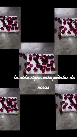 gracias dios 