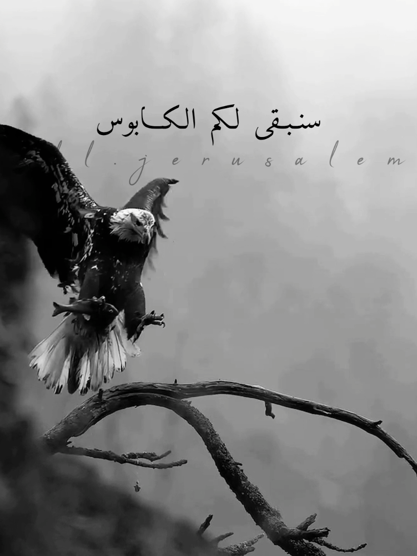 #خواطر #شعر #حالات_واتس #ستوريات 
