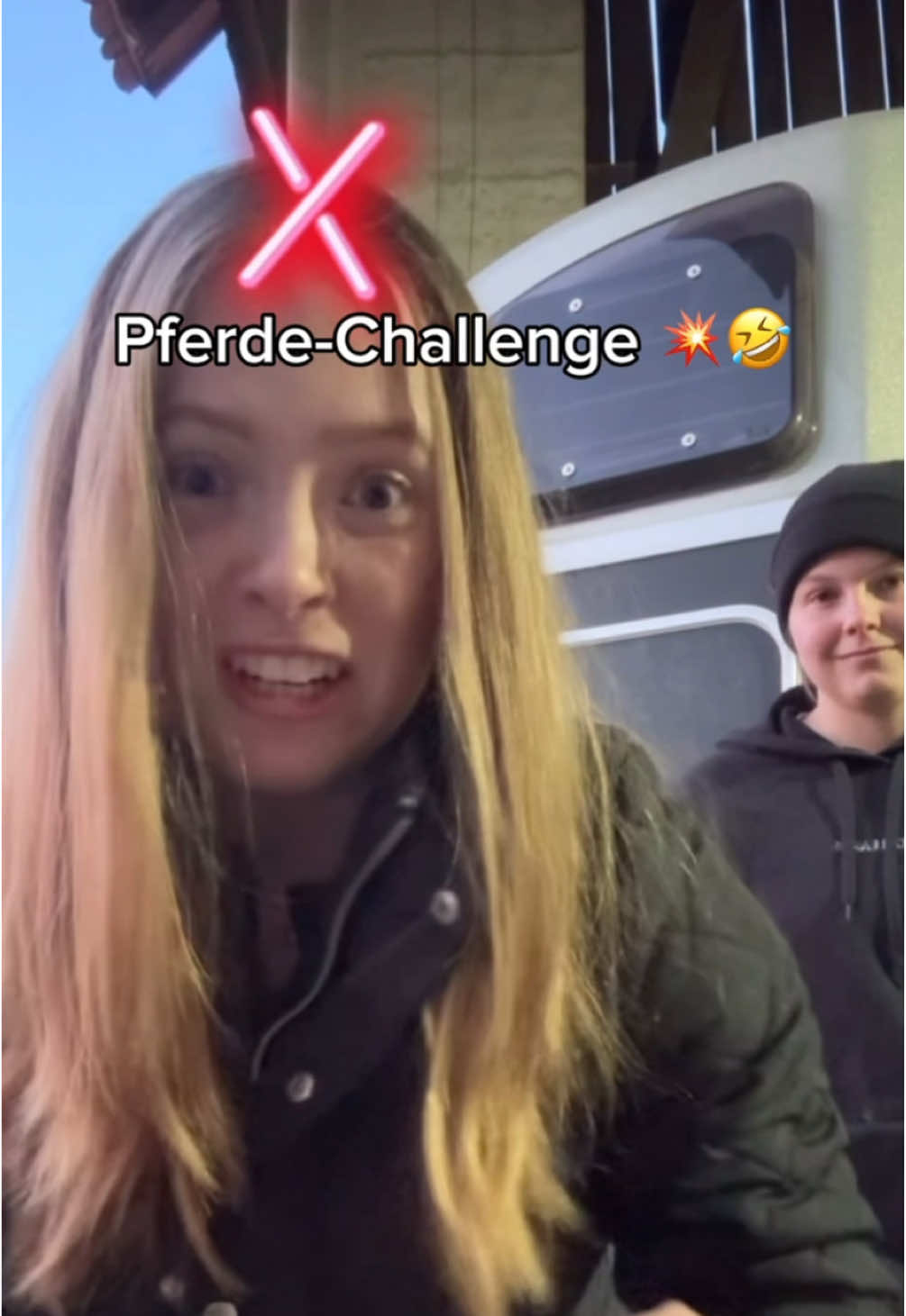 Wer hat gewonnen? Ich hab nicht mitgezählt 🤣🙏🏻 #challenge #pferdestall #letterchallenge 