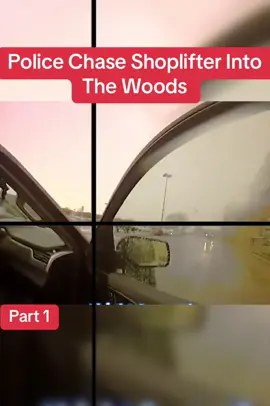 Police Chase Shoplifter Into The Woods #cops #police #copsusa🚔🇺🇸 #policeofficer #foryou 