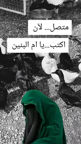 #ياام_البنين 