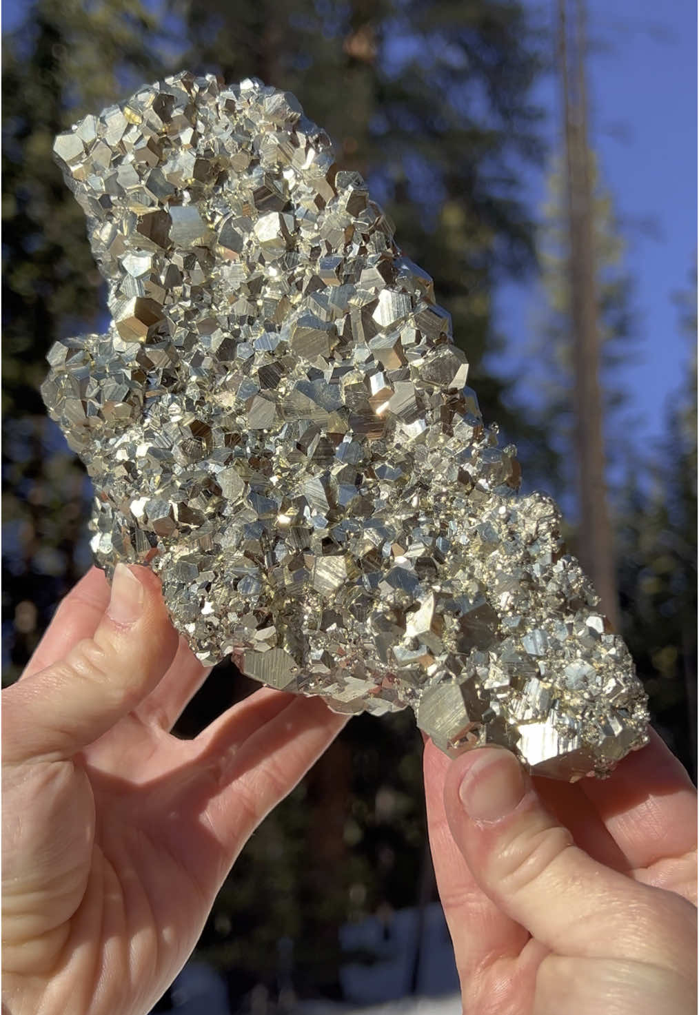 The Lovely Luster of Pyrite ✨ Even fairly “common” minerals like Pyrite can really bring the glitz and glam when you find the right specimen! Crystal clusters like this always make me re-appreciate minerals that might otherwise be overlooked. Pyrite is an Iron Sulfide mineral that is sometimes referred to as “Fools Gold”. It received this name from novice Gold collectors who came upon Pyrite in streams, creek beds, and hillsides. The shiny flash of Pyrite and its color “fooled” them into believing they had struck gold. When held side-by-side, Pyrite and Gold actually have a very different appearance, with Pyrite appearing more brass colored than gold. But even if specimens like these aren’t as valuable as Gold, they are still treasures to me! #crystals #shiny #mineralcollection #metal #metalminerals #crystaltreasure #treasure