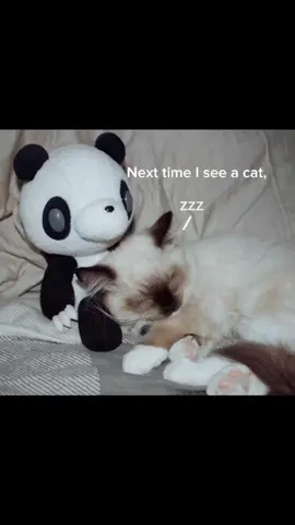 #stitch with @Clementine 🐾 #chiaotzu 
