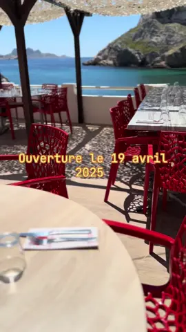 #pourtoi #pourtoii #viral #mer #restaurant #borddemer #parcnationaldescalanques #marseille #labaiedessinges #🙈🙊🙉 #plageprivee #capcroisette #ouverturesaison2025 #restaurantpoisson #poissonsauvage #views #Summer #lescalanquesdemarseille 
