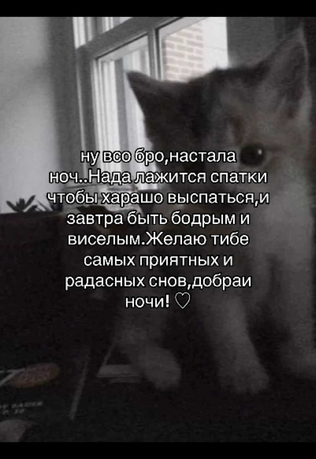 #щитпост #щп #idnotmine #fyp #rek #котек #добраиночи #бро 