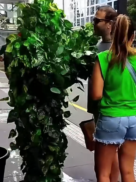 #16 Correria, Felicidade, Alegria e AAAHHHH!! #pegadinha #humor #engraçado #bushmanprank #viral_video #creatorsearchinsights