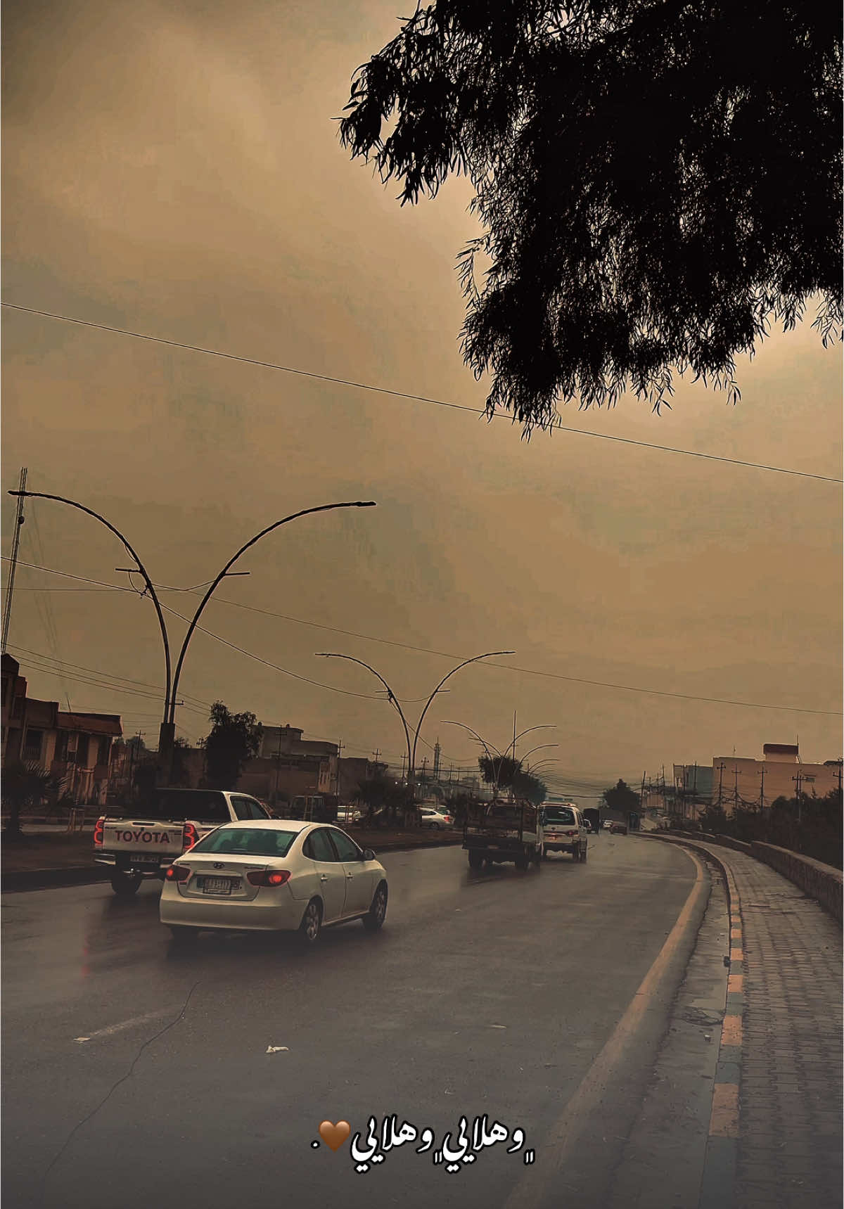 وهلايي🤎.  #تصويري #شاشة_سوداء🖤 