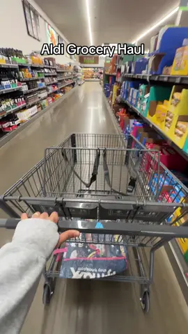 Restocked my empty fridge today. Good thing is, I still had plenty of meats in the freezer. How much do you think I spent?#aldigroceryhaul #aldigroceryshopping #aldigroceryfinds #groceryshopping #groceryhaul #groceryshopwithme #groceryrestock #groceryshopasmr 