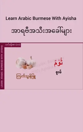 အာရဗီအသီးအခေါ်များ - အာရဗီစကားပြော #speakingarabic #for #foryou #foryourpage #arabicsong 