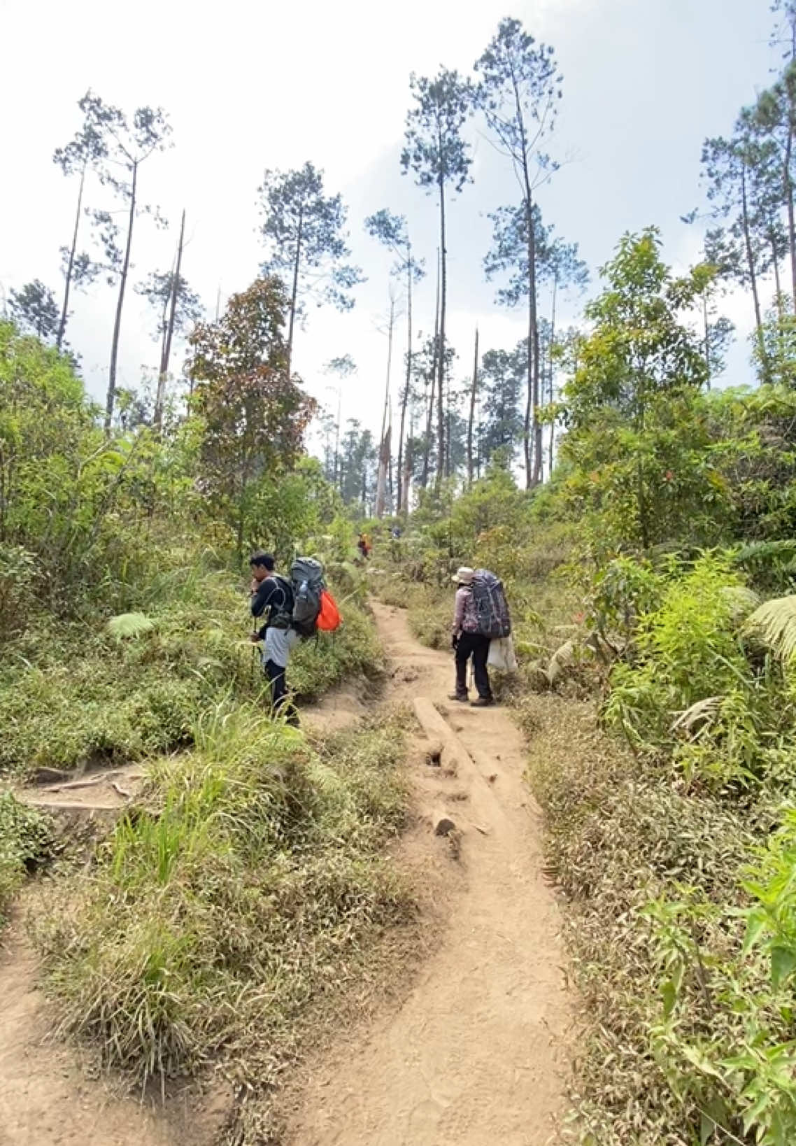 Merbabu pos 1 tanpa musik #merbabuviasuwanting #pendakigunung  #merbabu 