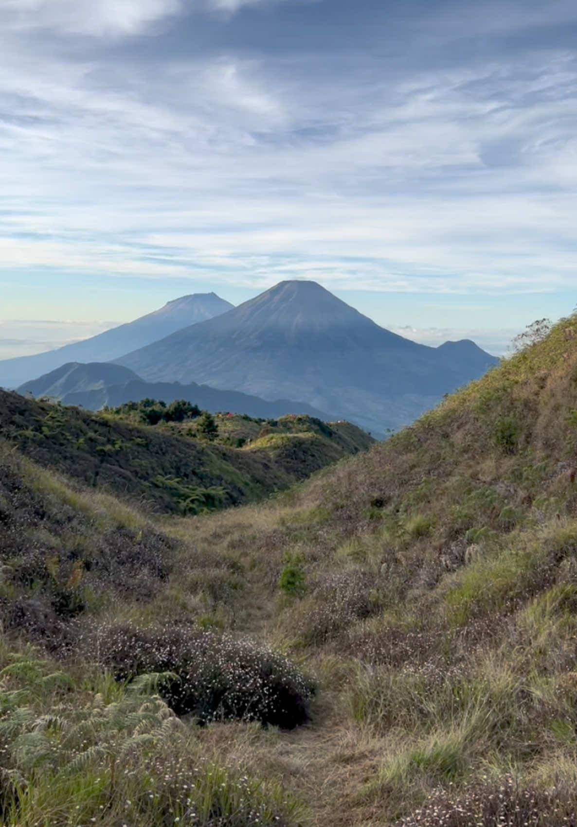 Kangen sama Gunung Prau, share dong fotomu waktu di Gunung Prau di komen #fyp #gunungprau #dieng #wonosobo 