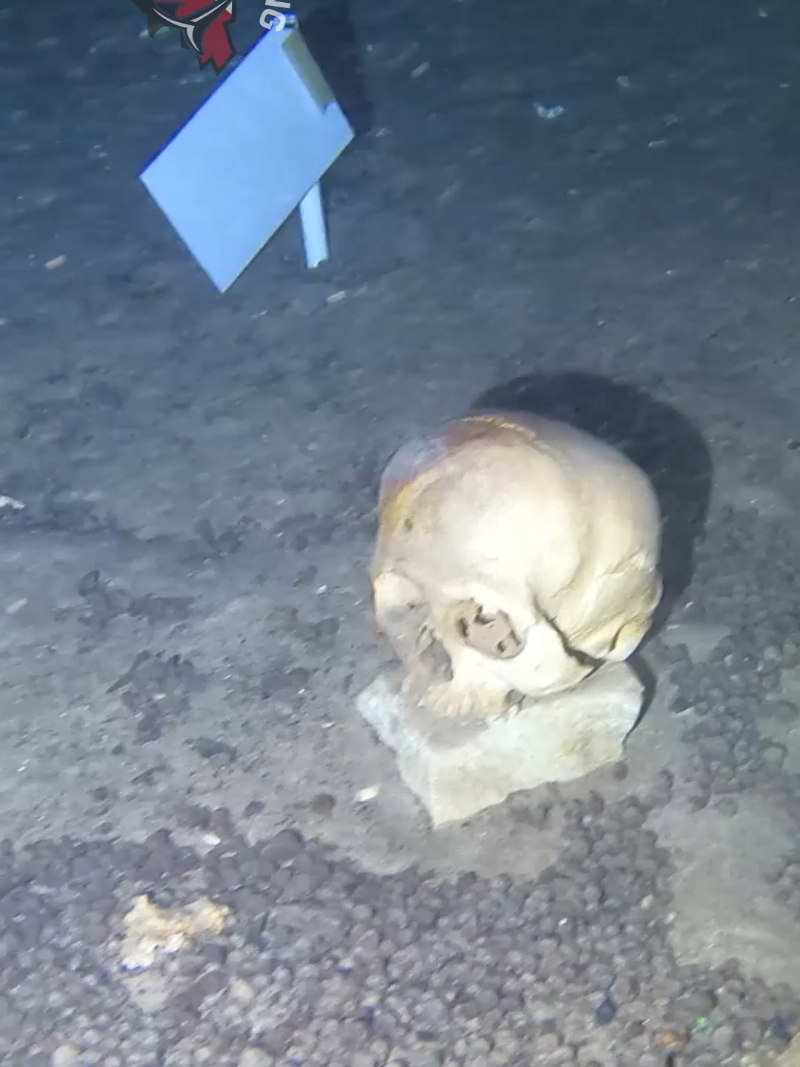 CRANEOS Y HUESOS HUMANOS  Es parte de lo que se puede ver en un buceo en cenotes de Merida, Yucatan, que los hay por miles. Visitamos este lugar y descendimos en el cenote Dzonbakal, donde vimos muchos restos de la antigua civilización Maya, restos de animales y peces ciegos. Es una gran experiencia, muy recomendable para los buzos.  . . #merida #yucatan #cenotes #buceo #scubadiving #mexico #adventure #funny  #bones #skeleton 