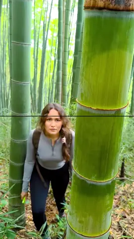 Ep 116 - The GIRL's skills are AMAZING🔪🎋#camping #survival #bushcraft #Outdoors #LifeHack 