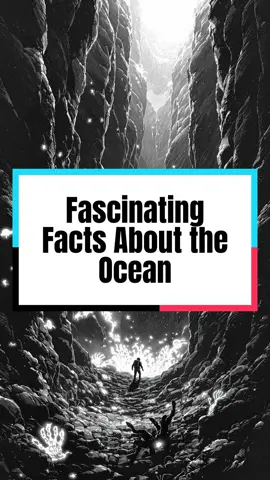 The ocean is full of mysteries, from glowing creatures to hidden mountains. Dive into these mind-blowing facts that reveal just how incredible our planet’s waters really are!