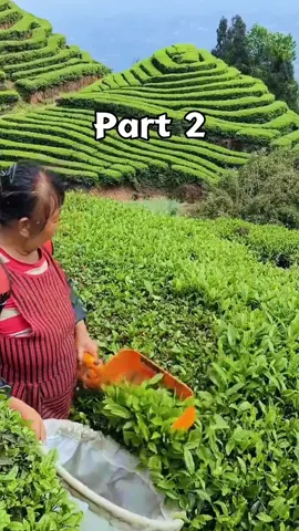 Part2 My dad called me while I was overseas and said, I used your college fund. You didn’t need it anyway. I calmly replied, Good luck with that. He added, You’re smart, you’ll figure it out.#reddit #redditstories #redditreadings #storytime #fy 