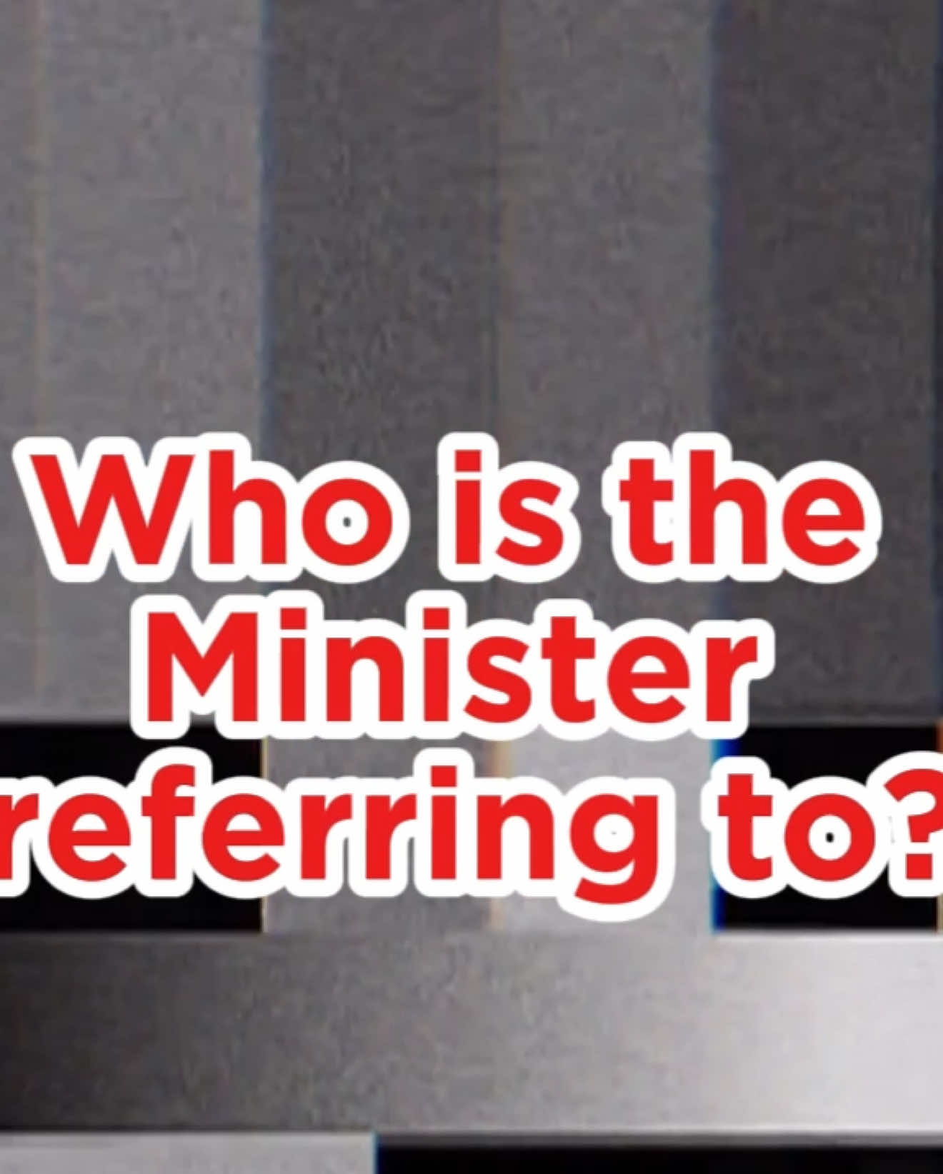 Who is Minister Tan See leng referring to? #sgfyp #sgtiktok #leongmunwai #progresssingaporeparty #tanseeleng 