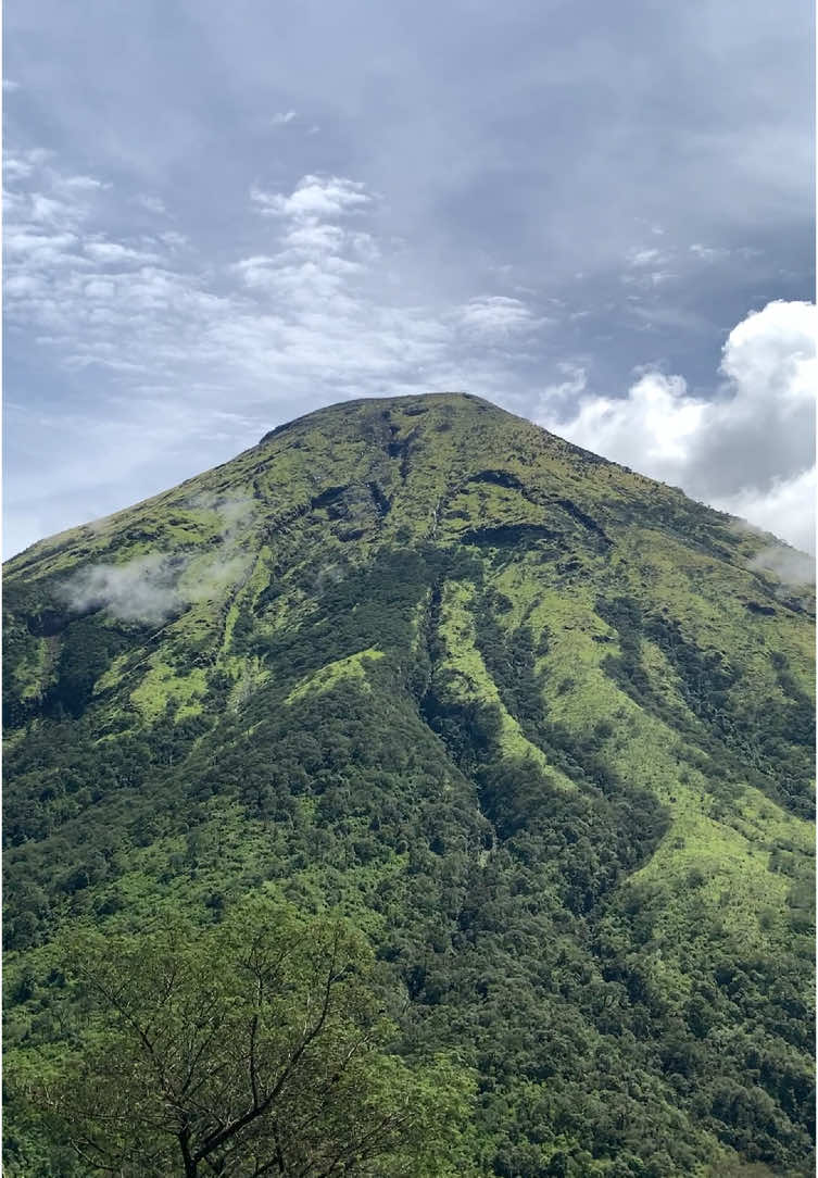 #fyp #fyppppppppppppppppppppppp #gunungkembang #gunungkembangvialengkong #wonderfullindonesia 